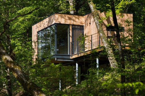 Top Treehouse Hotels Worldwide: Relive Childhood Dreams in Luxurious Treetop Stays