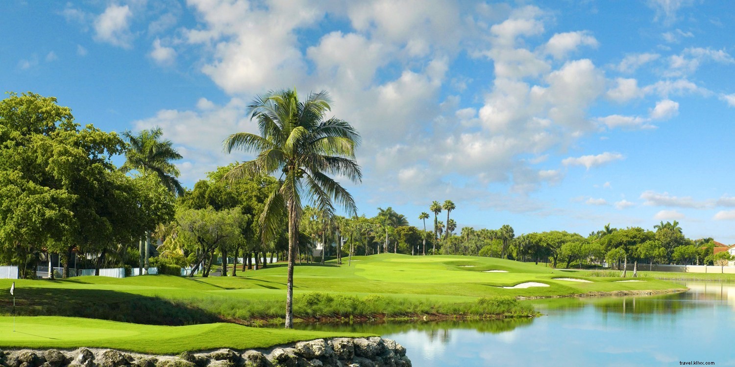 Miami Summer Deals: Tailored Adventures for Every Traveler Type