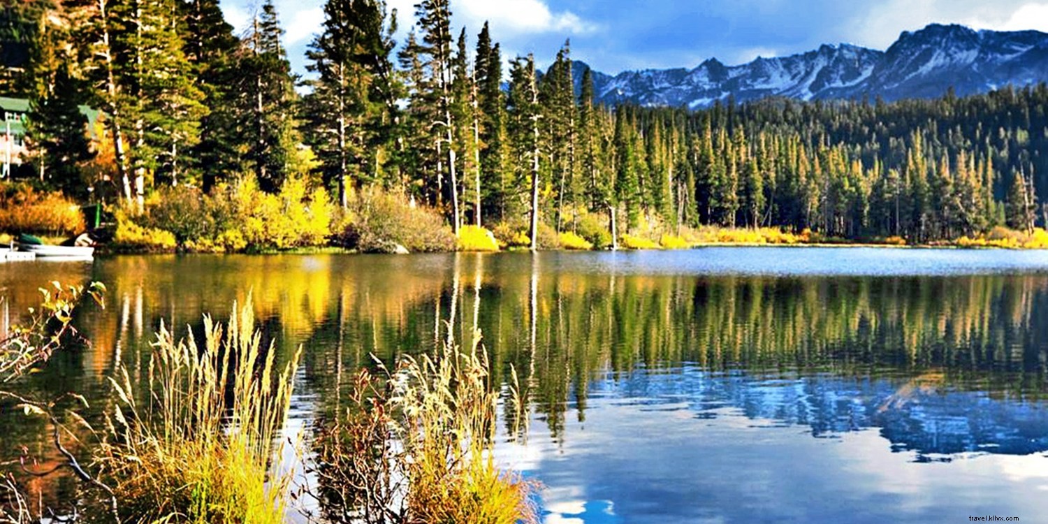 Embark on Literary-Inspired Vacations: Top Book-Themed Travel Destinations