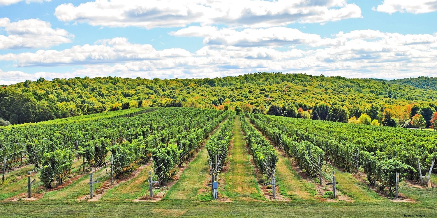 America s Best Alternative Wine Destinations: Beyond Napa and Sonoma