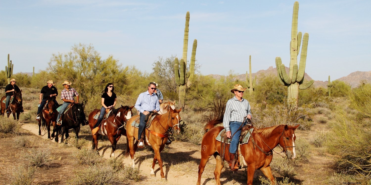 Unmissable Outdoor Adventures in Phoenix: Hiking, Horseback Riding & More