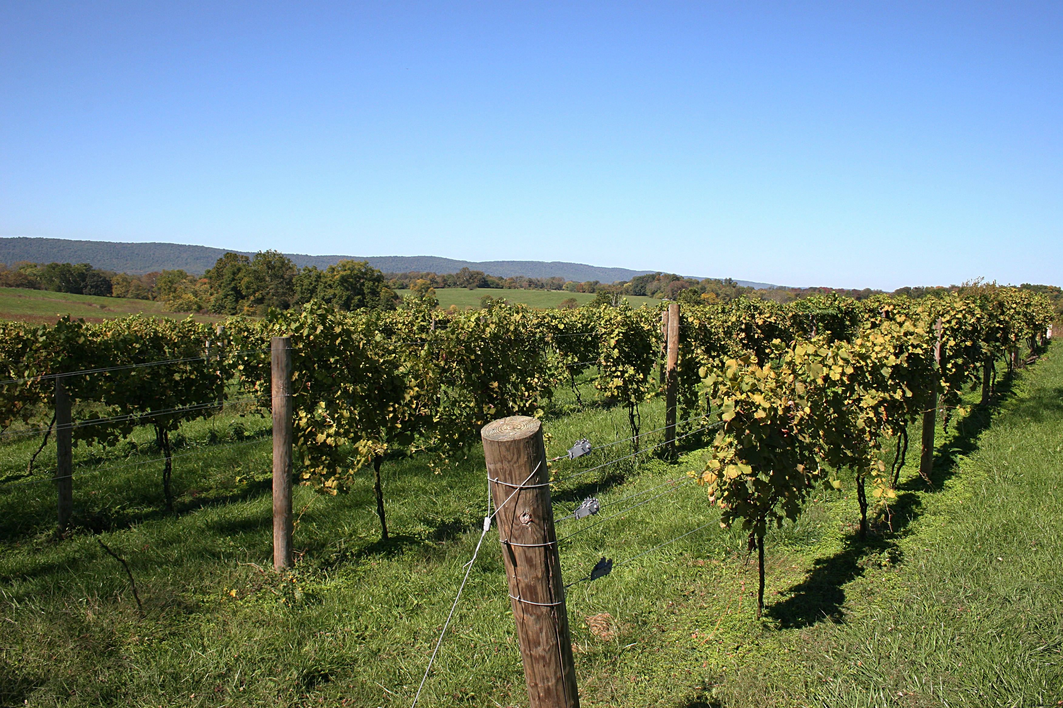 12 Surprising Facts About Virginia You Probably Didn t Know