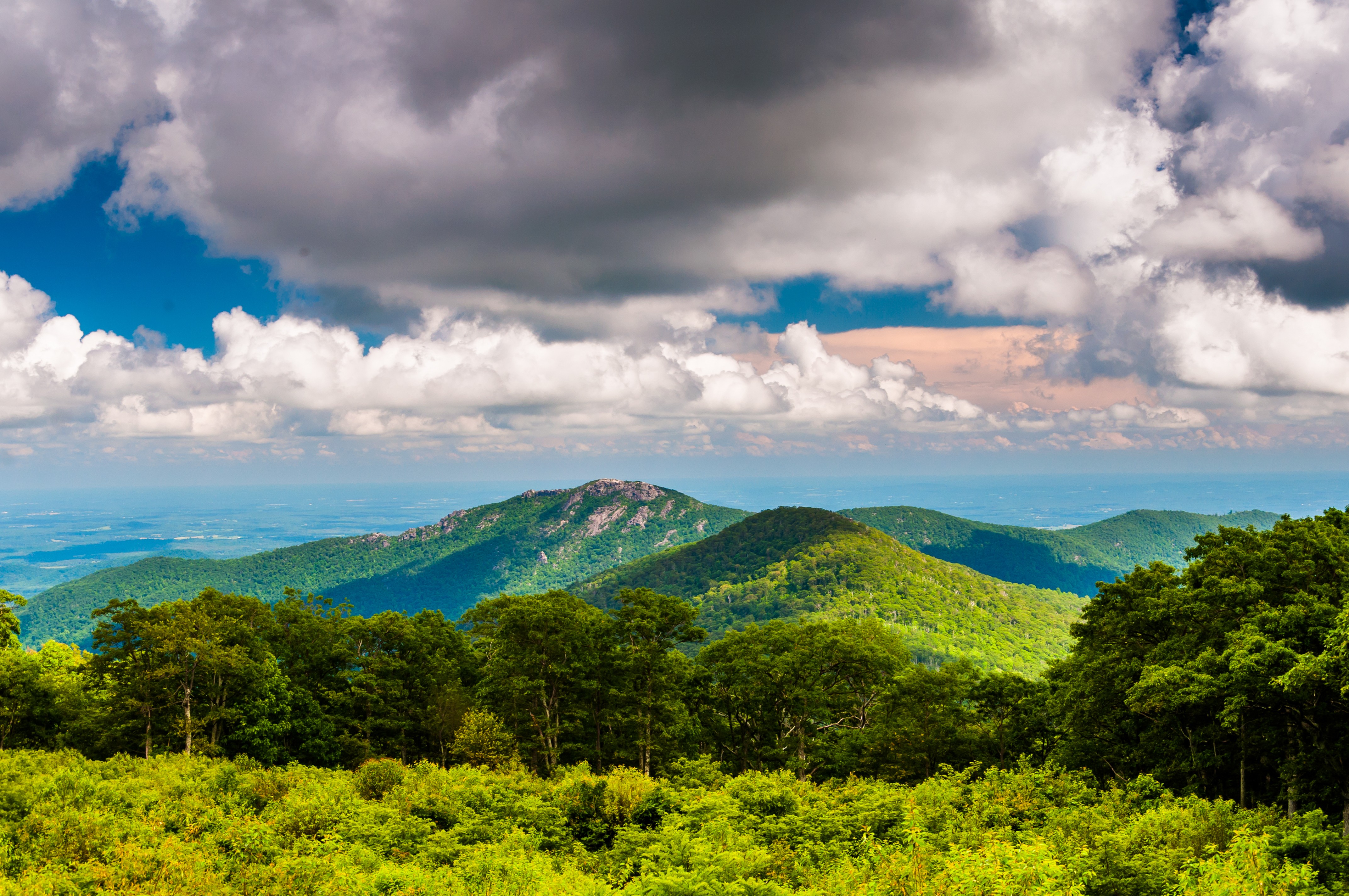 12 Surprising Facts About Virginia You Probably Didn t Know