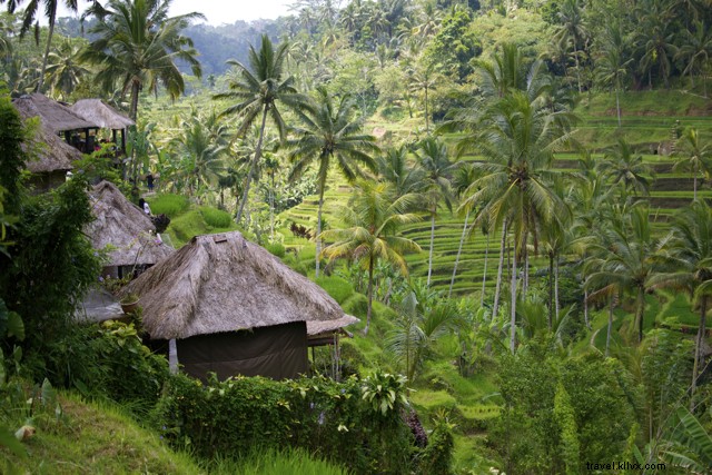 Bali on a Budget: Insider Tips for an Affordable Paradise Getaway