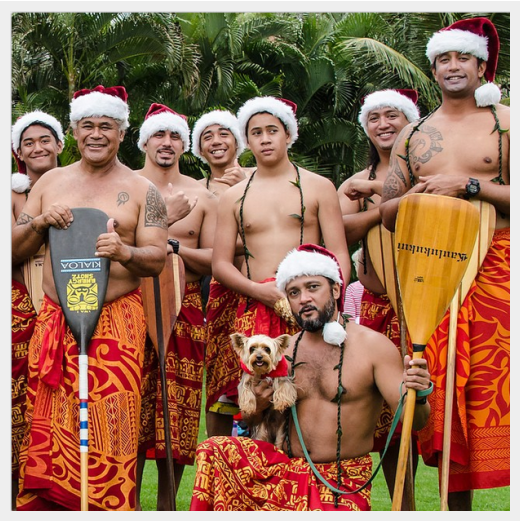 Discover the World s Most Well-Traveled Dogs: Instagram s Top Jet-Setting Pups