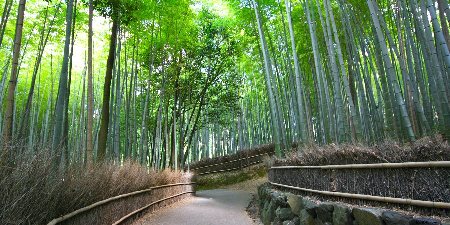 12 Surreal Earth Destinations: Otherworldly Wonders Without Leaving the Planet