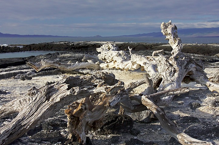 12 Surreal Earth Destinations: Otherworldly Wonders Without Leaving the Planet