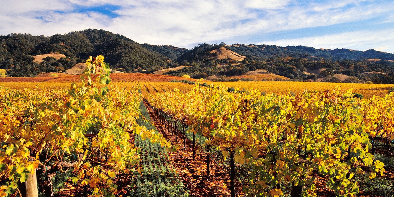 Travelzoo Deal Experts Share Their Top 2015 Travel Plans