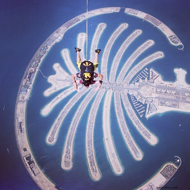 Thrilling Adventures in Paradise: Swim with Sharks, Explore Mayan Skeletons, and Chase Glowworms