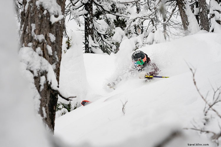 Whistler Film Festival Celebrates 20th Anniversary: Virtual Screenings, Local Talent, and Adaptive Innovation