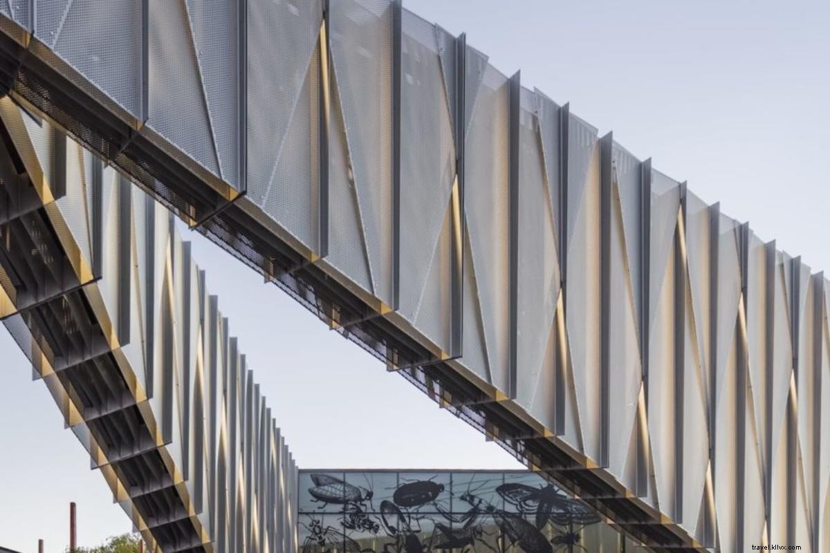 7 Unmissable Art Experiences Exclusive to Santa Fe, New Mexico