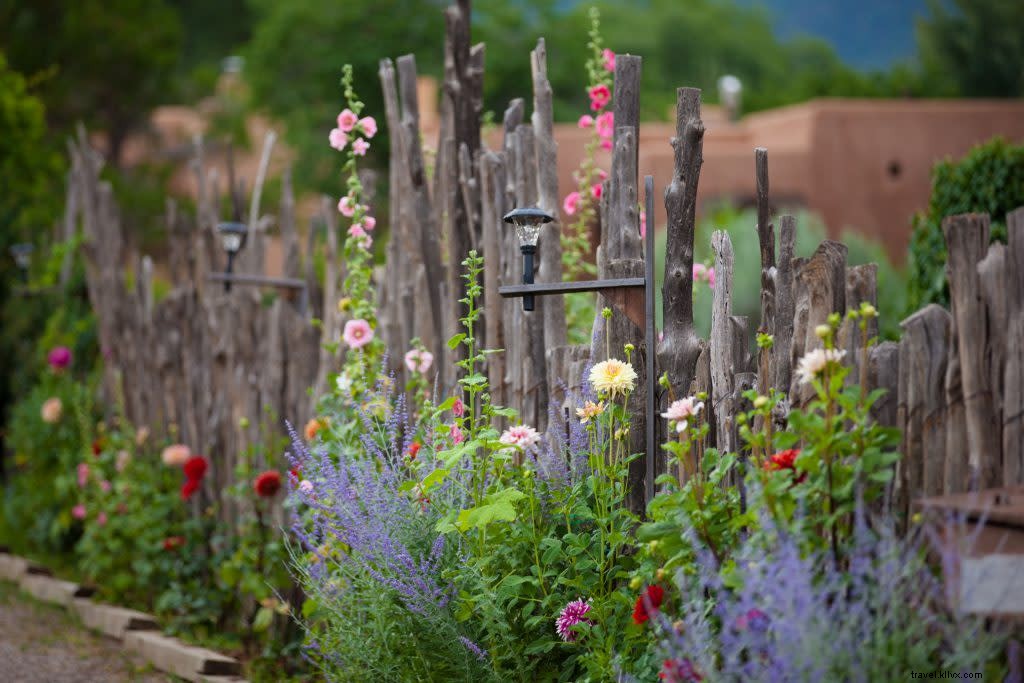 Santa Fe Gardens in Full Bloom: Discover the City s Best Outdoor Havens