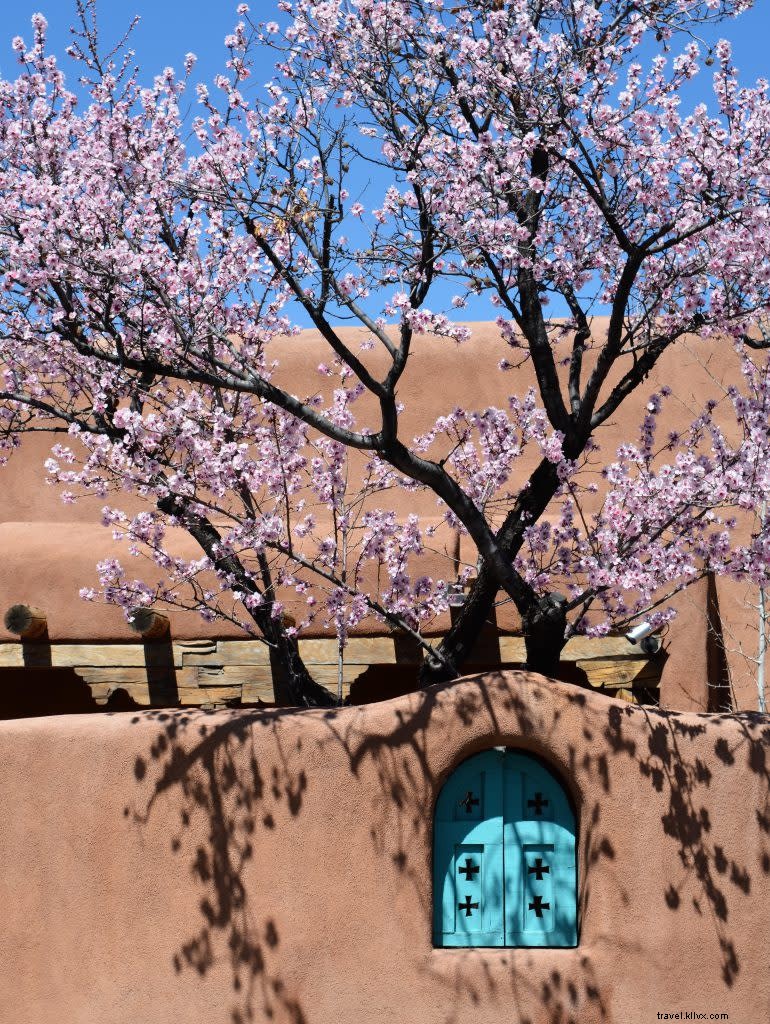 Santa Fe Gardens in Full Bloom: Discover the City s Best Outdoor Havens