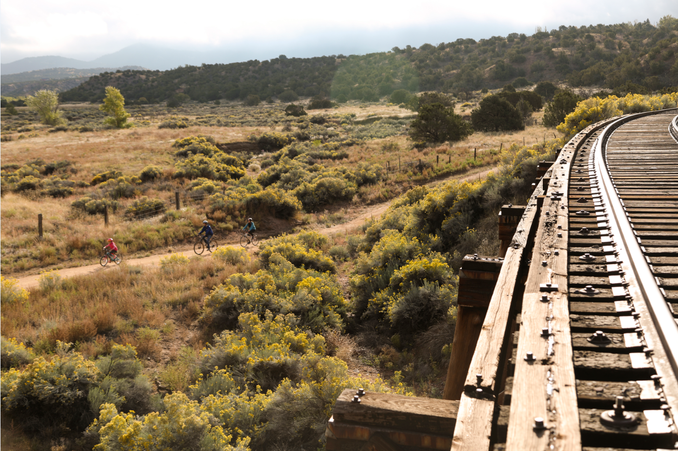 Ultimate Guide to Mountain Biking in Santa Fe County: Top Trails and Adventures