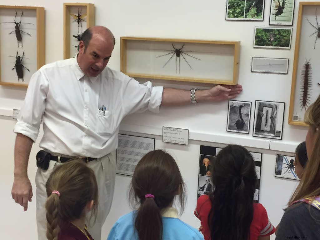 Santa Fe Spring Break: Kids Go Free at Top Attractions and Hotels – 2018 Kids Free Fest