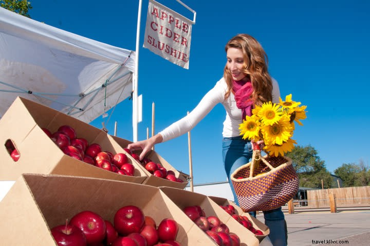 5 Must-See November Events in Santa Fe You Won t Want to Miss