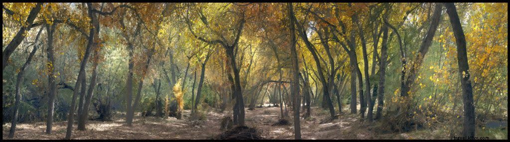 Discover 6 Must-See October Events in Santa Fe