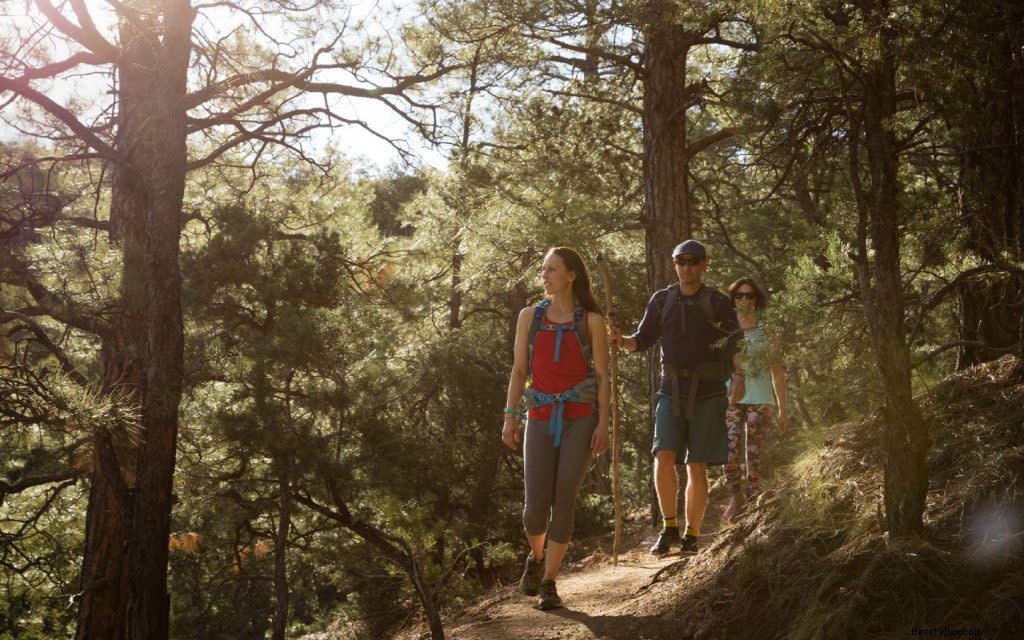 Ultimate Backpacking Guide: Santa Fe Baldy and Lake Katherine in Santa Fe National Forest