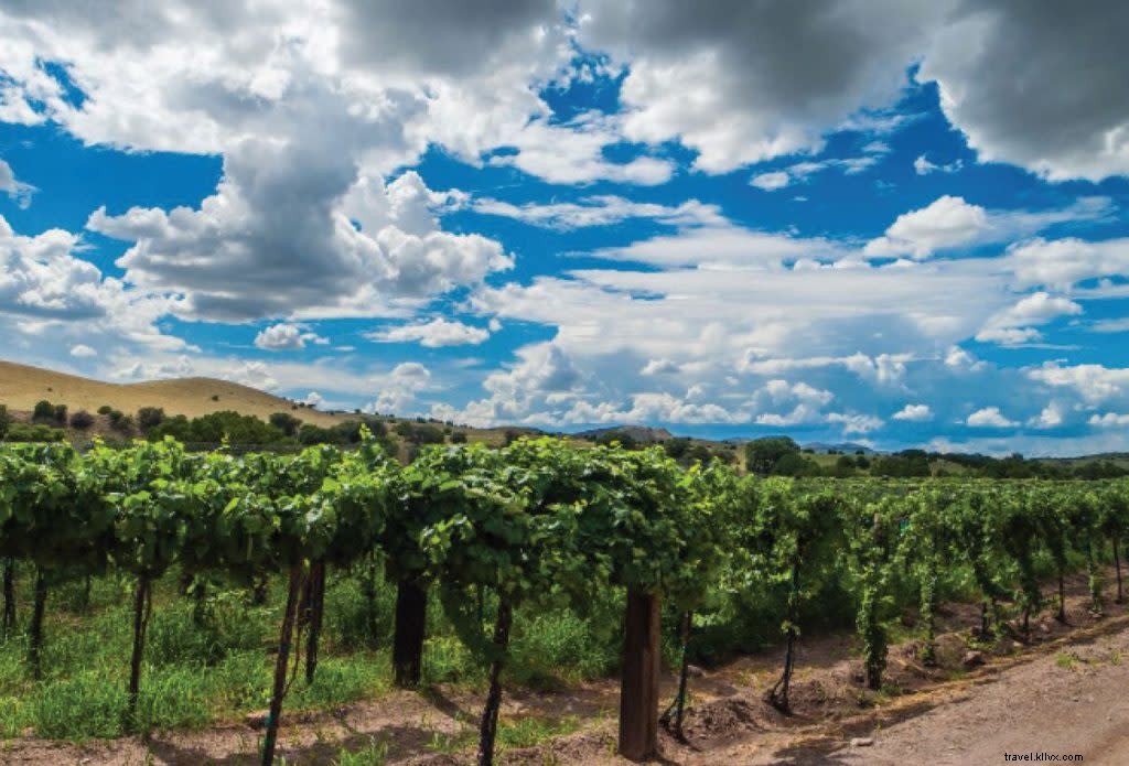 Discover New Mexico s Wine Country: Ancient History and Top Santa Fe Wineries