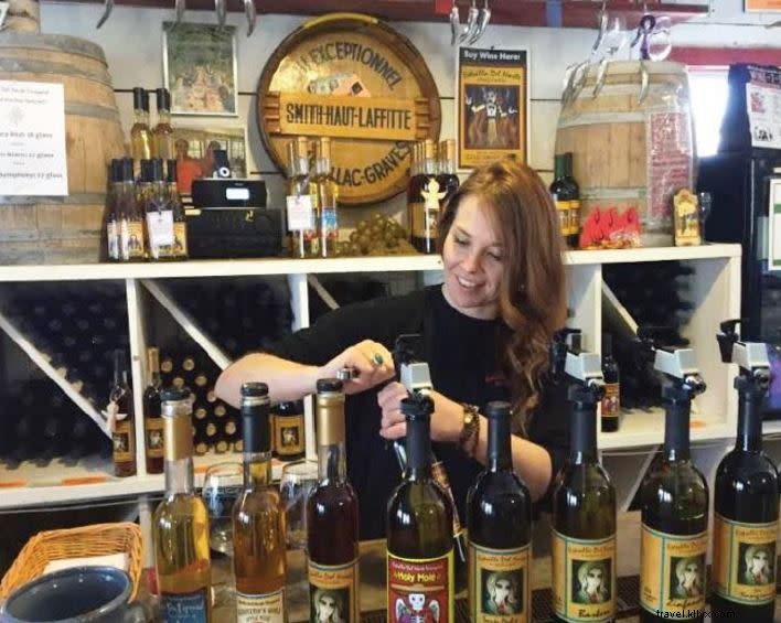 Discover New Mexico s Wine Country: Ancient History and Top Santa Fe Wineries