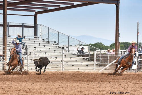 Santa Fe s Vibrant Horse Culture: Rodeos, Equestrian Events, and Scenic Trail Rides