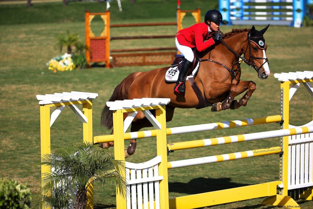 Santa Fe s Vibrant Horse Culture: Rodeos, Equestrian Events, and Scenic Trail Rides