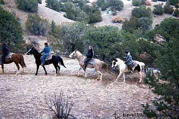 Santa Fe s Vibrant Horse Culture: Rodeos, Equestrian Events, and Scenic Trail Rides