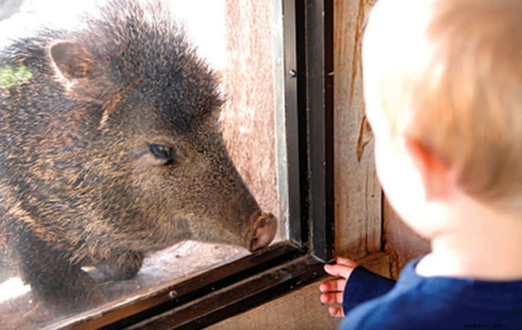 Uncover Hidden Gems on the Turquoise Trail: The Ultimate Santa Fe Day Trip