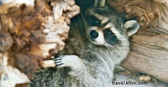 Santa Fe Spring Break 2017: Kids Play Free with Family-Friendly Deals and Activities