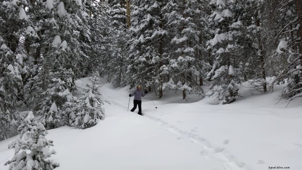 6 Unique Ways to Experience an Unforgettable Holiday in Santa Fe