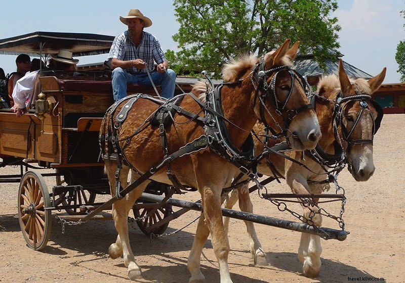 9 Must-See August Events in Santa Fe: Art, Music, Rodeos & More