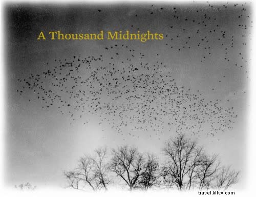 Currents 2016: Santa Fe s Premier International New Media Festival Highlights