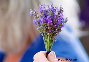 8 Compelling Reasons to Start Your Summer Vacation in Santa Fe