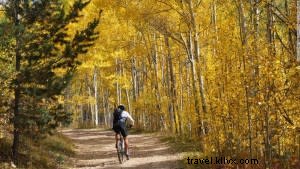 Top October Events in Santa Fe: Festivals, Balloons, and Art Tours