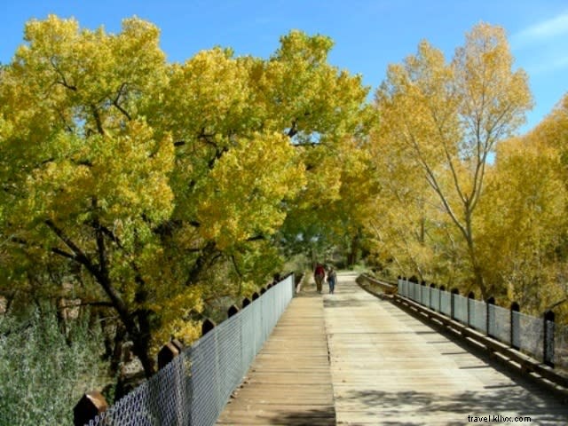 Top October Events in Santa Fe: Festivals, Balloons, and Art Tours