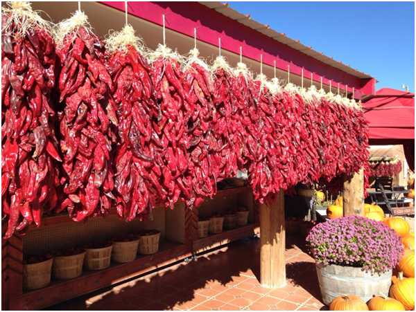 Santa Fe s Iconic Red Chile: Must-Try Dishes from Breakfast to Dessert