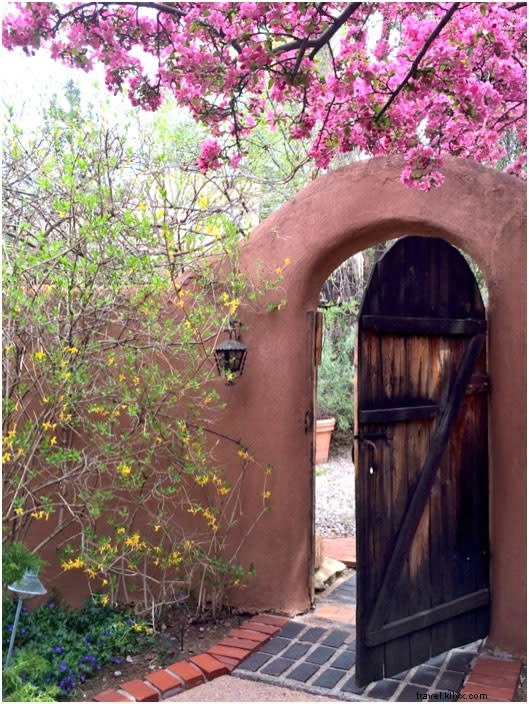 Santa Fe s Summer of Color: Vibrant Exhibitions and Events at Museum Hill