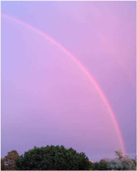 Santa Fe s Summer of Color: Vibrant Exhibitions and Events at Museum Hill