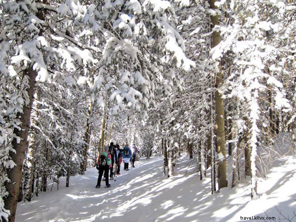 Santa Fe: Escape Cabin Fever with Winter Sunshine and Adventures