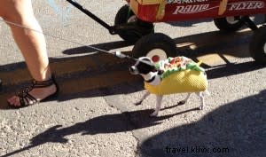 ¡Que Viva Santa Fe! Iconic Late-Summer Events and Festivals