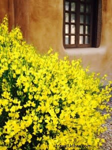 Discover Santa Fe s Thriving Art Scene: Must-See Summer Exhibitions