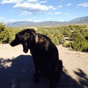 Santa Fe s Painted Skies: Iconic Sunsets and Sunrises You Won t Forget