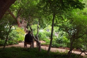 Santa Fe in Full Bloom: Exploring the City s Vibrant Spring Gardens