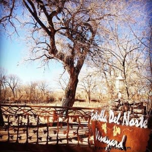 Elevate Your Santa Fe Trip: Expert Tours for Hiking, Food, and More