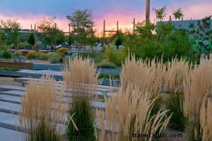 Pet-Friendly Santa Fe: The Best Spots for Traveling with Your Dog