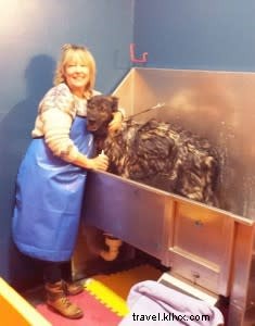 Pet-Friendly Santa Fe: The Best Spots for Traveling with Your Dog