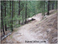 Santa Fe s World-Class Mountain Biking Trails: A Cyclist s Ultimate Guide