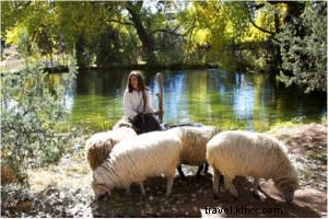 Spring in Santa Fe: Blossoms, Festivals, Music, and Art That Captivate