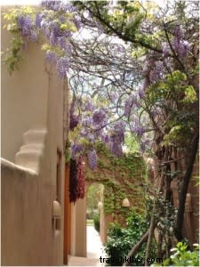 Spring in Santa Fe: Blossoms, Festivals, Music, and Art That Captivate