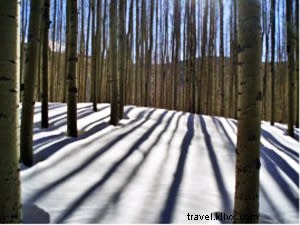 Santa Fe Winter Sports Guide: Skiing, Snowboarding, Snowshoeing & Ice Skating